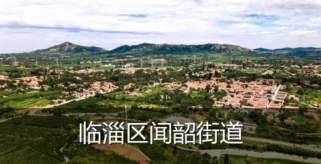 临淄区闻韶街道